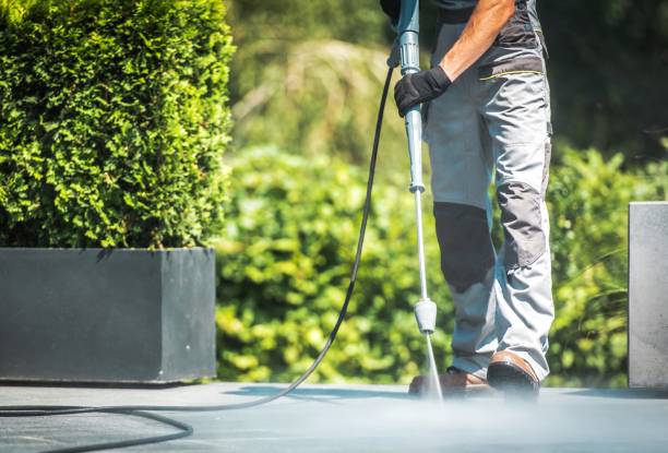 Best Fence Cleaning  in Blaine, WA