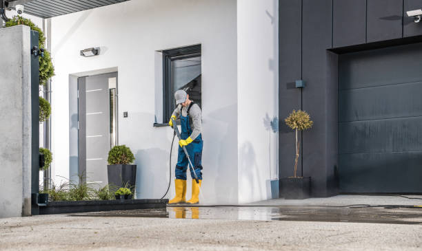 Best Soft Washing  in Blaine, WA